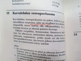 Pidä koirasi terveenä