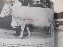 Maitoa, maitoa... Mouhijärven Osuusmeijeri 90 vuotta