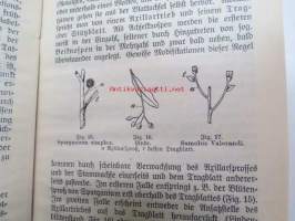 Morphologie und Organgraphie der Pflanzen (Sammlung Göschen)