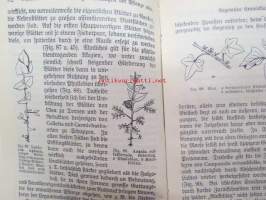 Morphologie und Organgraphie der Pflanzen (Sammlung Göschen)