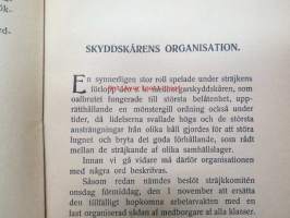 Erinringar från Storsträjken i Åbo 31.10-6.11.1905-Suurlakko Turussa 1905