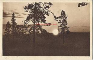 Ounasvaara, kesäyön aurinko   - paikkakuntapostikortti kulkenut 1927 merkki pois