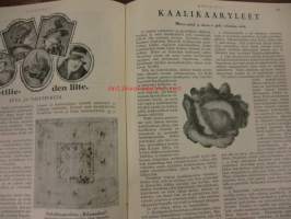 Kotiliesi Lokakuun 2. numero 1926 . sis mm,kansi poika ja koira.Helsingin kirje,Lyyli Kairamo.Patarouva;Kaallikääryleet.Miesten pukukankaiden kutomisesta