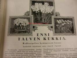 Kotiliesi Lokakuun 2. numero 1926 . sis mm,kansi poika ja koira.Helsingin kirje,Lyyli Kairamo.Patarouva;Kaallikääryleet.Miesten pukukankaiden kutomisesta