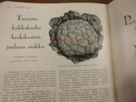 Kotiliesi 1927 / 7 Huhtikuu.Omakoti-numero.Kansik,Vieraita odotetaan.Carolu Lindberg;Maalainen rakennustyylioikeuksiinsa.Ryijysohva,Hanna-Liisa