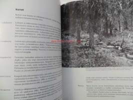 Metsä. Tuottava maa 5