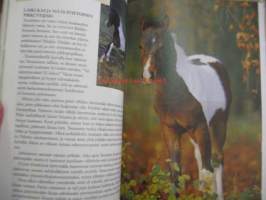 Luonnollinen hevostaito - kokemuksia hevosten parissa