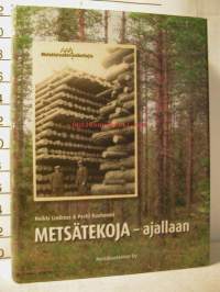 metsätekoja ajallaan