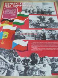 Sotilasjuliste 23 Neuvostoliitto  1981 - juliste 56x44 cm / toimitus pakettina postitusrullassa