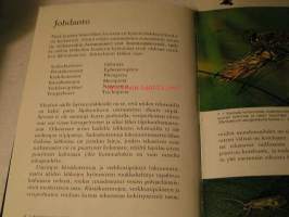 Sudenkorennot sukulaisineen