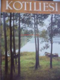 Kotiliesi  1968 nr 19 - taskurahaa, mummussa oli hohtoa, uudistunut vahakangas, aplikointi, rakas anoppini