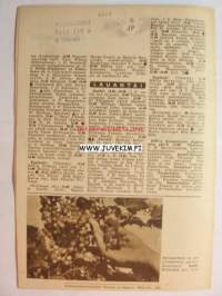Radiokuuntelija 1945 nr 28