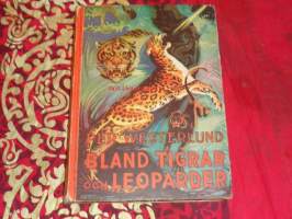 bland tigrar och leoparder