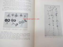 The Vegetation of the Siberian-Mongolian Frontiers (The Sayansk Region) -kasvillisuus Siberian-Mongolian alueella -kasvitieteellinen tutkimusraportti englanniksi