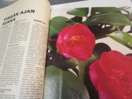 Kotiliesi 1969 nr 22, kamelia pimeän ajan kukka, uuden asumisen edut ja haitat - Kontulassa Aune ja Jaakko Kalo, Laina ja Kalevi Kokko, Pirkko ja Tauno Valjakka