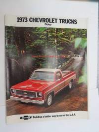 Chevrolet Trucks 1973 / Pickup -myyntiesite