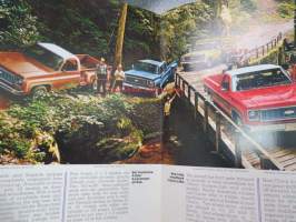 Chevrolet Trucks 1973 / Pickup -myyntiesite