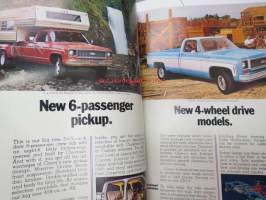 Chevrolet Trucks 1973 / Pickup -myyntiesite