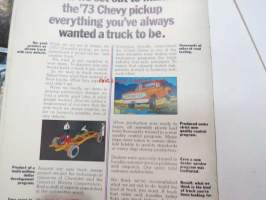 Chevrolet Trucks 1973 / Pickup -myyntiesite