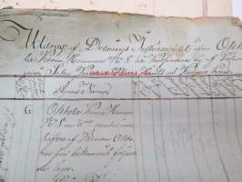 Charta öfver Okhola Hemmans Ägor Tohmajärvi Sokn Karelens Nädre Härad och Kuopio Län Åfmåtte 1803 och 1804 af Landmätaren Backman / Utdrag af Delnings