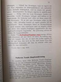 Ungdomsrörelsen i svenska Nyland 1889-1914 -Nuorisoseuratoimintaa ruotsinkielisellä Uudellamaalla 1889-1914
