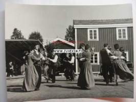 Tanhut käynnissä -valokuva