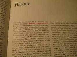 katsokaa taivaan lintuja