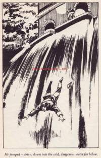 The Fugitive