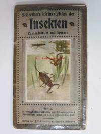 Schreibers kleiner atlas der INSEKTEN tausendiüssler und spinnen- Hyönteiset, tuhatjalkaiset ja hämähäkit, korennot