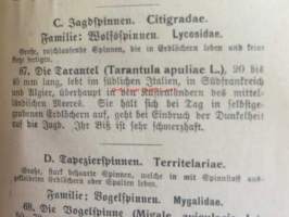 Schreibers kleiner atlas der INSEKTEN tausendiüssler und spinnen- Hyönteiset, tuhatjalkaiset ja hämähäkit, korennot