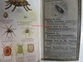 Schreibers kleiner atlas der INSEKTEN tausendiüssler und spinnen- Hyönteiset, tuhatjalkaiset ja hämähäkit, korennot