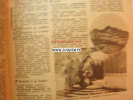 Radiokuuntelija 1946 nr 18