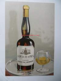 Grand cognac fine champagne viinamainos