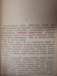 Kamppailu kaivoksessa - Poikien seikkailukirjasto 108