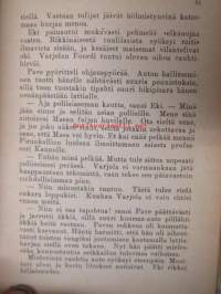 Kamppailu kaivoksessa - Poikien seikkailukirjasto 108