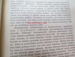 Lappalaisten leikit ja ajanvietot