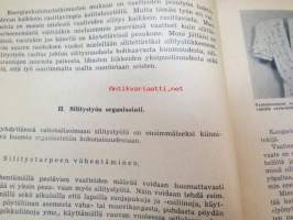 Vaatteiden silitystyön rationalisoimisesta
