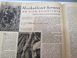 Kotiliesi 1941 nr 9 toukokuu I, ilmestynyt 1.5.1941, sis. mm. seur. artikkelit / kuvat / mainokset; Kansikuvitus Martta Wendelin, Arabia, Kalamiehen kamppeita,