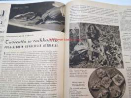 Kotiliesi 1941 nr 9 toukokuu I, ilmestynyt 1.5.1941, sis. mm. seur. artikkelit / kuvat / mainokset; Kansikuvitus Martta Wendelin, Arabia, Kalamiehen kamppeita,