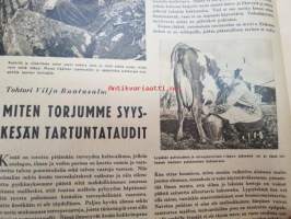 Kotiliesi 1941 nr 16 elokuu II sis. mm. seur. artikkelit / kuvat / mainokset; Kansikuvitus Martta Wendelin, Pellavaliina teko-ohje sivulla 2, Kamppailujen kesän