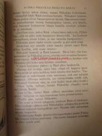 Pulmasen noidutut taskut - Päivänpaisteisia tarinoita nr 2