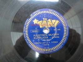 Tähti RW 446 Veikko Lavi - Kotkan Kerttu / Puustisen muorin kuppilassa -savikiekkoäänilevy, 78 rpm