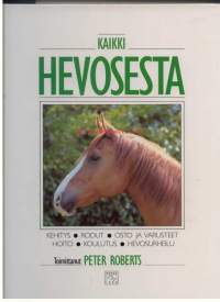 Kaikki hevosesta