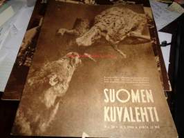 Suomen Kuvalehti 1946 nr 20. Toisen maailmansodan tappiot, Elämänuskon Lappi