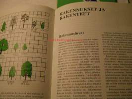 Rakennan pihan