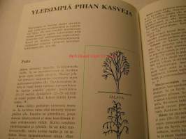 Rakennan pihan