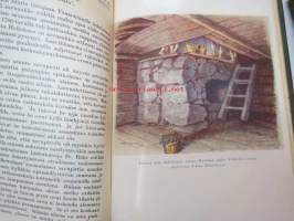Hollolan pitäjän historia I-II - Muinaisuuden hämärästä kunnallisen elämän alkuun 1860-luvulle ( 2 kirjaa)