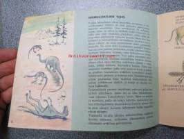 Muinaisajan eläimet - Tammen siirtokuvakirja