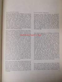 Spes patriae MCMLVIII 1958