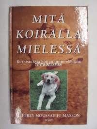Mitä koiralla mielessä